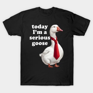 Today I'm A Serious Goose T-Shirt